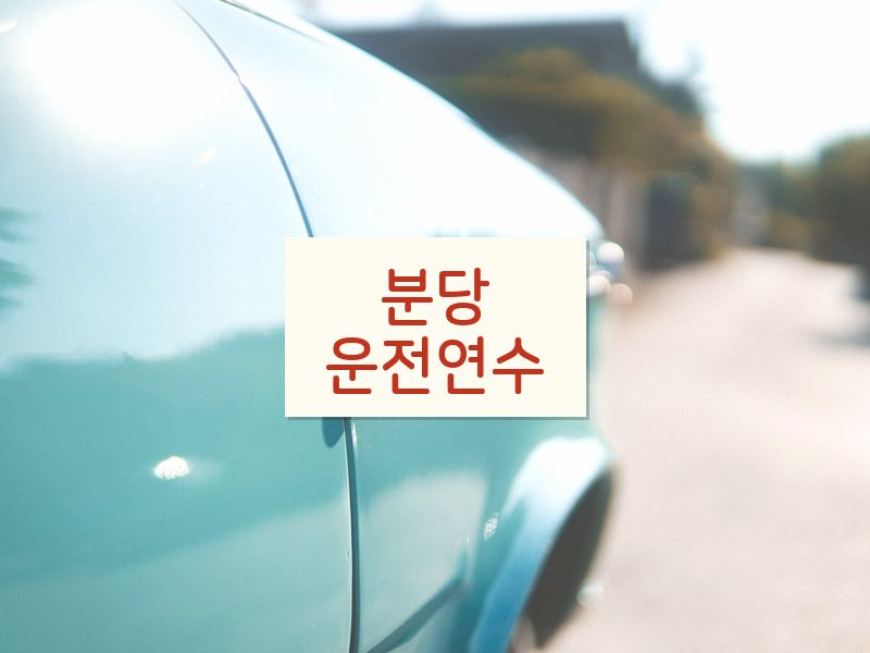 분당운전연수 후기