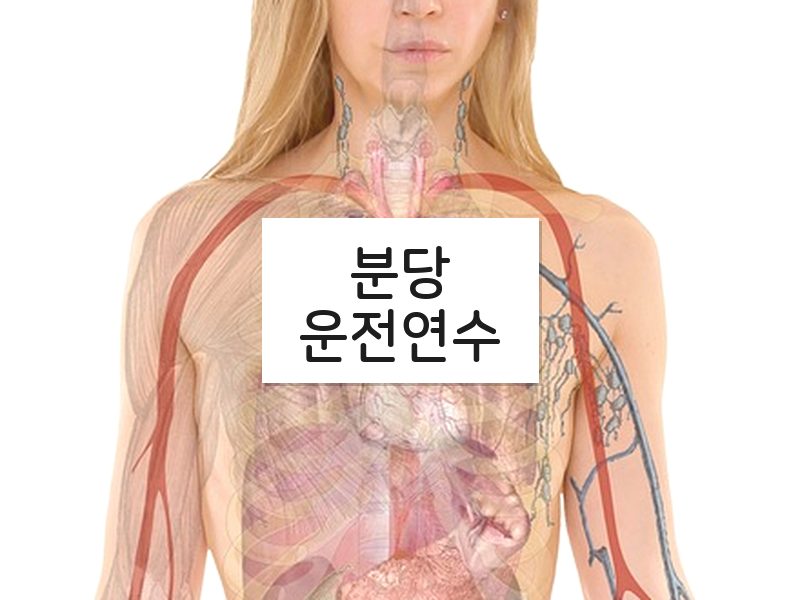 분당운전연수 후기