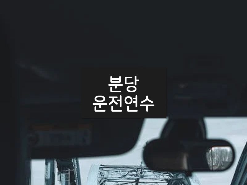 분당운전연수 후기