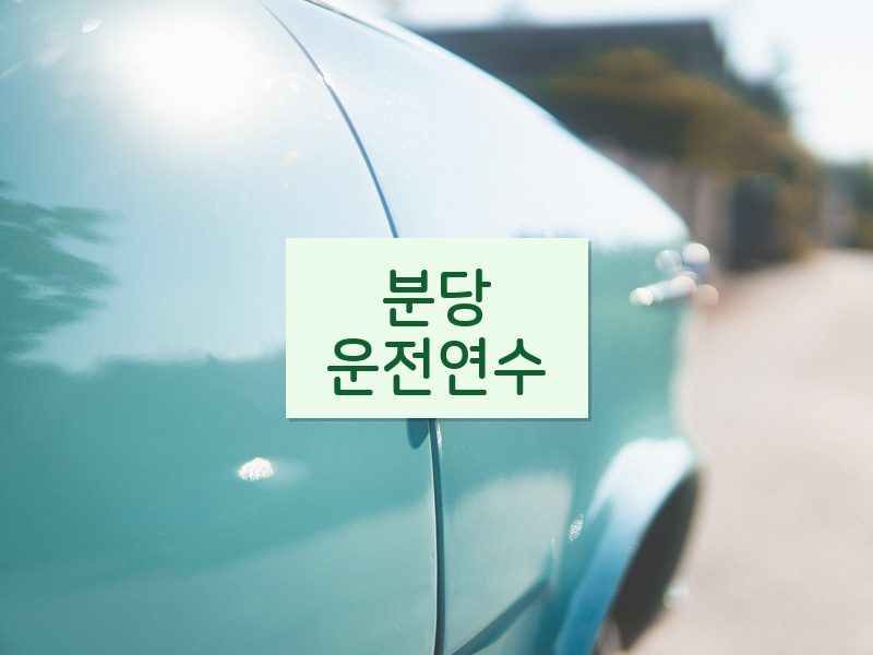 분당운전연수 후기