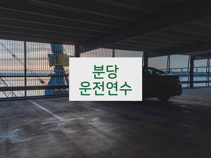 분당운전연수 후기