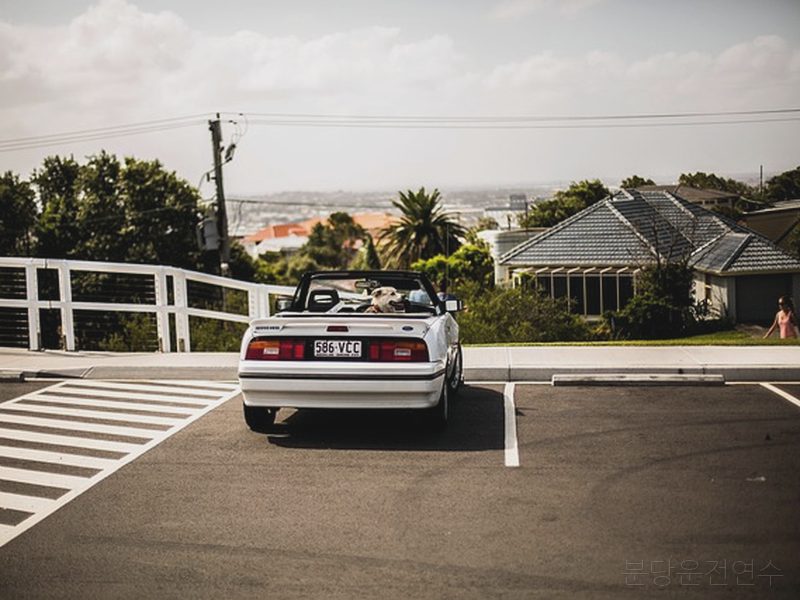 분당운전연수 후기