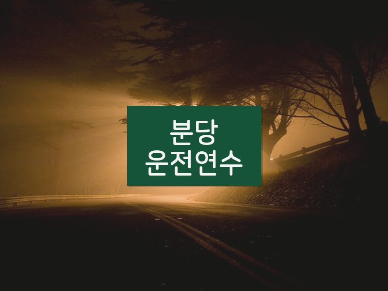 분당운전연수 후기