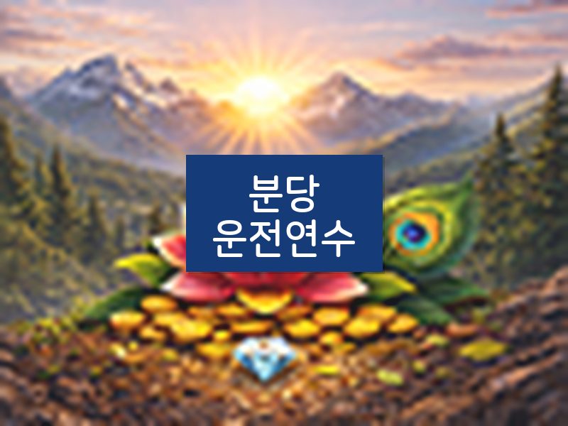 분당운전연수 후기