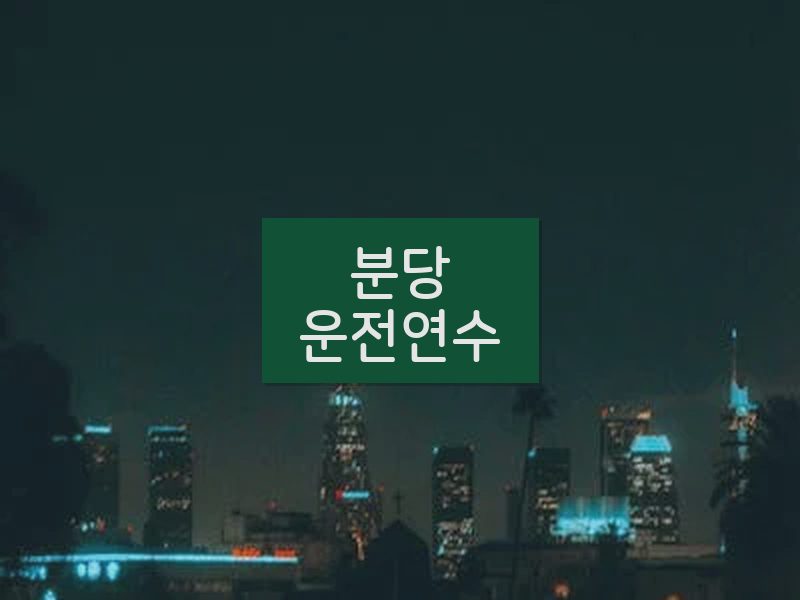 분당운전연수 후기