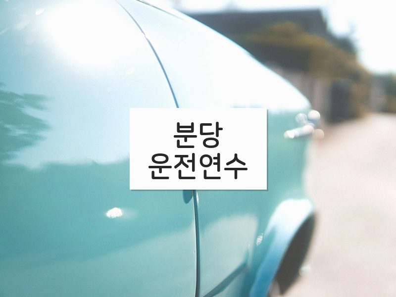 분당운전연수 후기