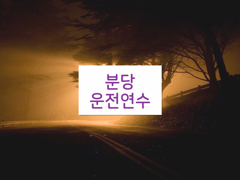 분당운전연수 후기