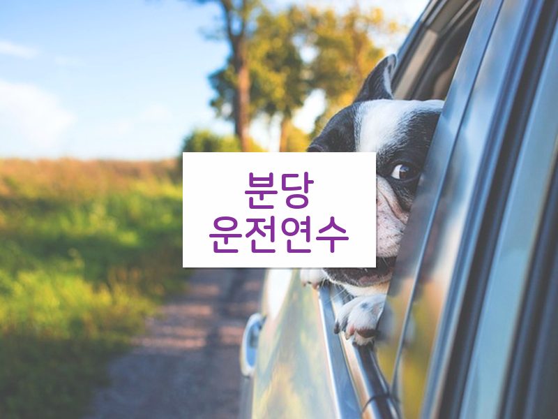 분당운전연수 후기