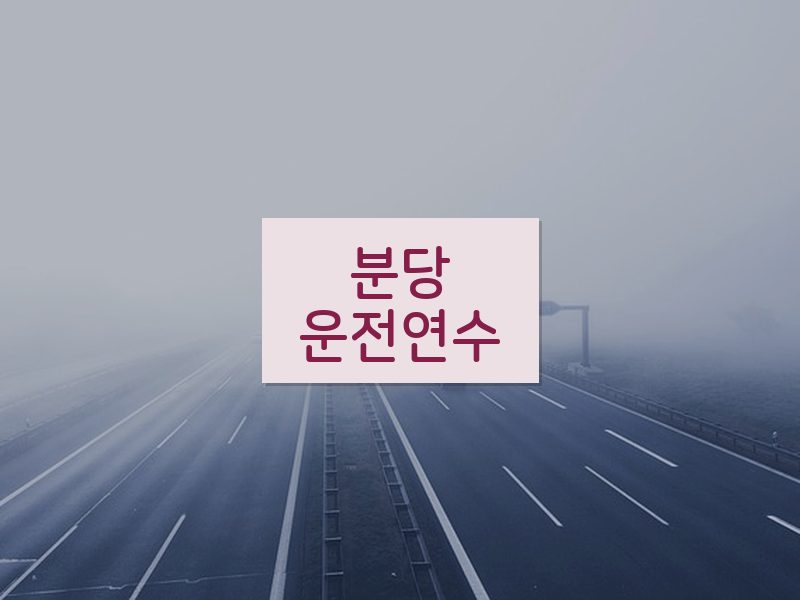 분당운전연수 후기