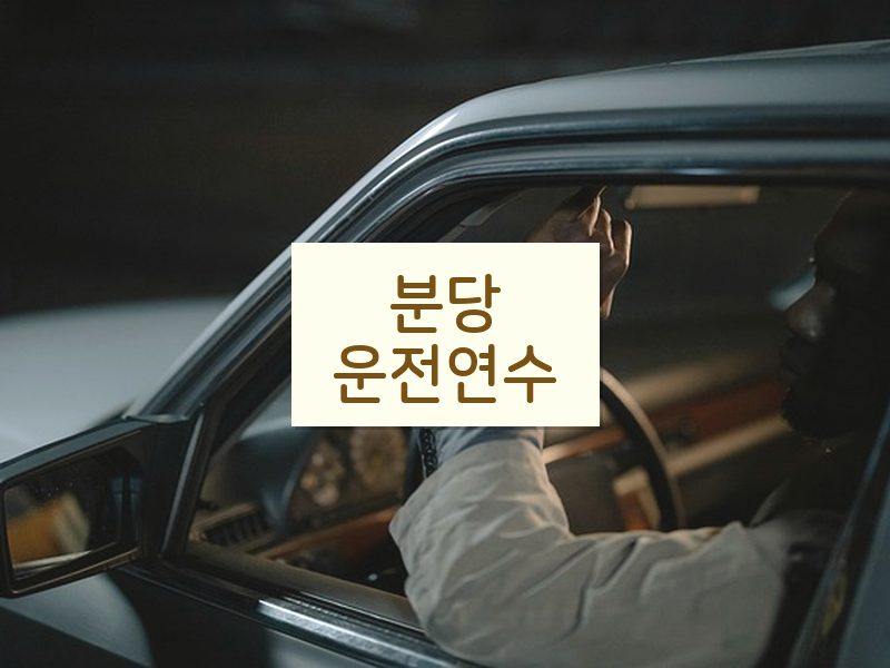분당운전연수 후기