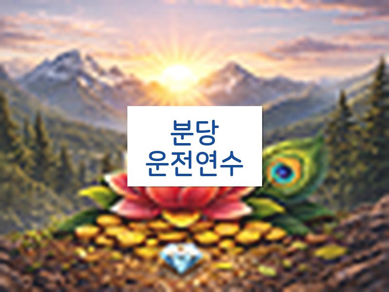 분당운전연수 후기