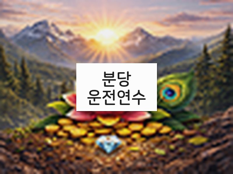 분당운전연수 후기