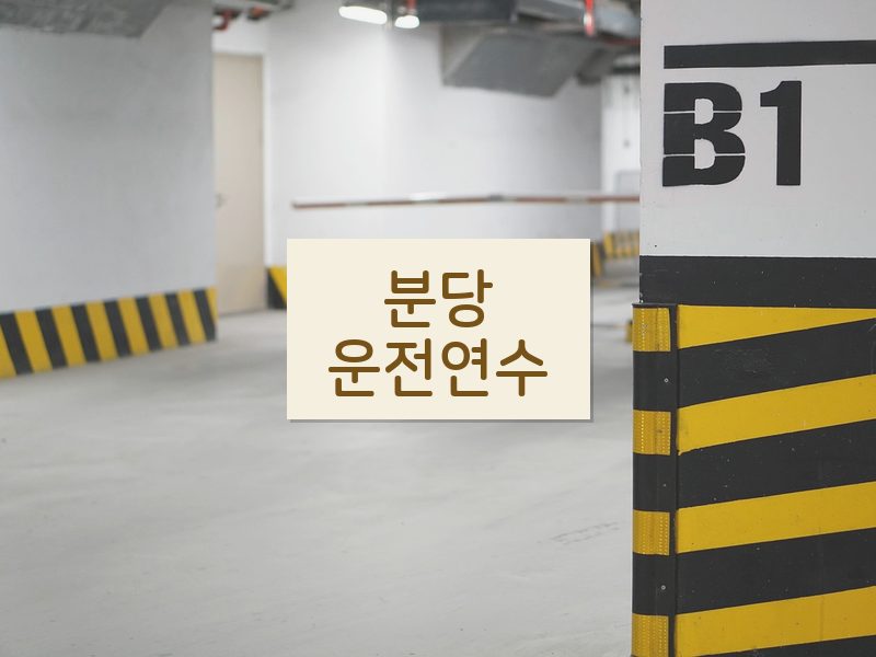 분당운전연수 후기