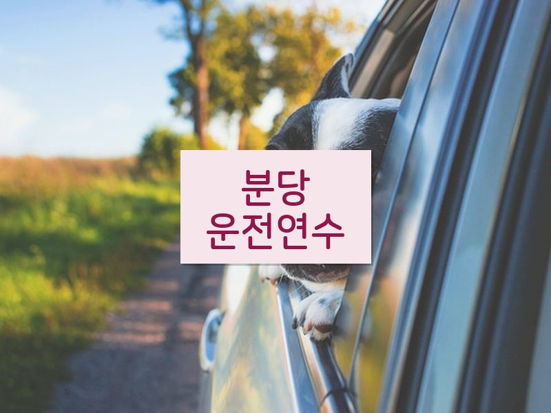 분당운전연수 후기