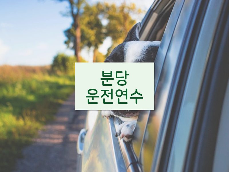 분당운전연수 후기