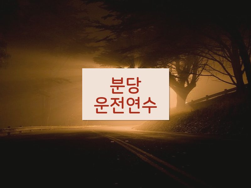 분당운전연수 후기