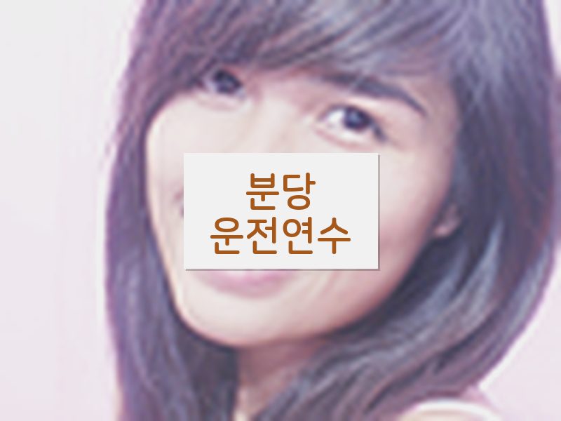 분당운전연수 후기