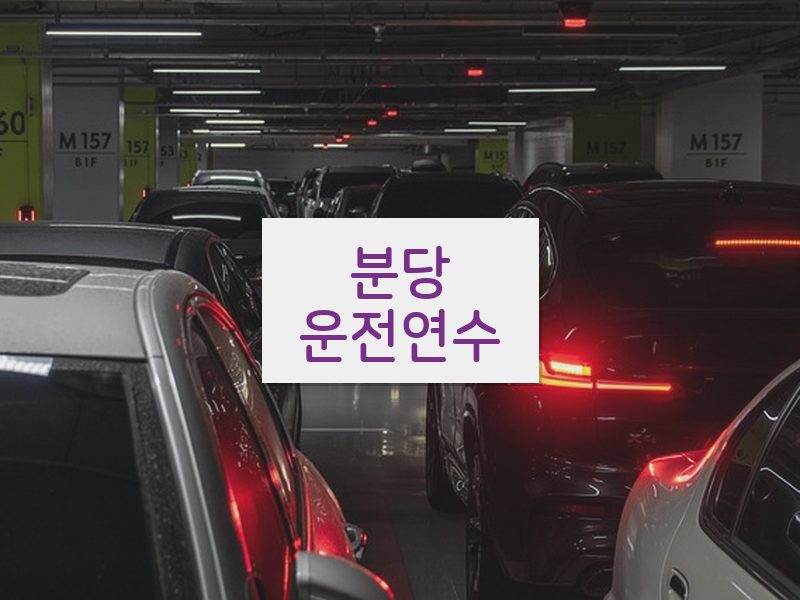분당운전연수 후기