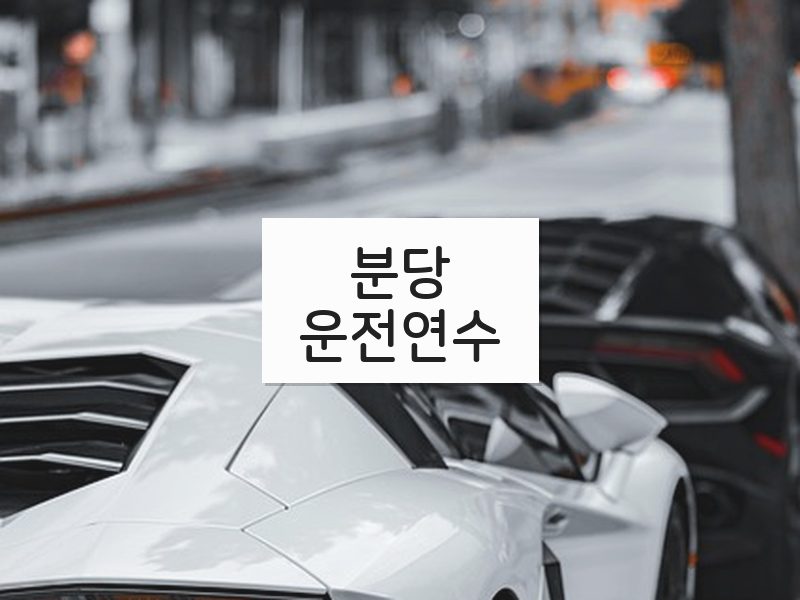 분당운전연수 후기