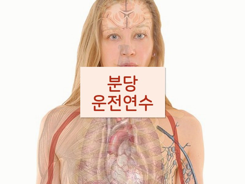 분당운전연수 후기