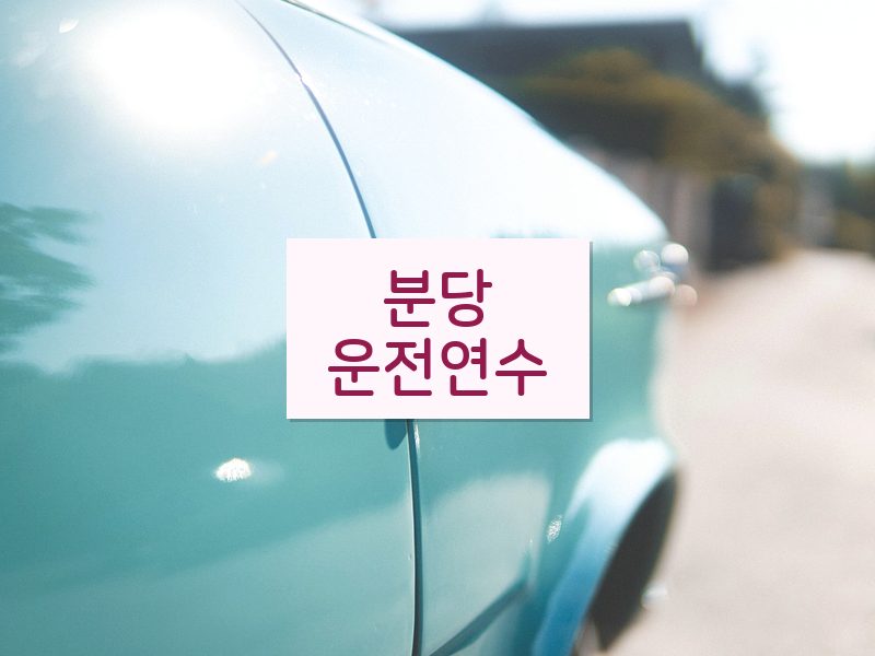 분당운전연수 후기