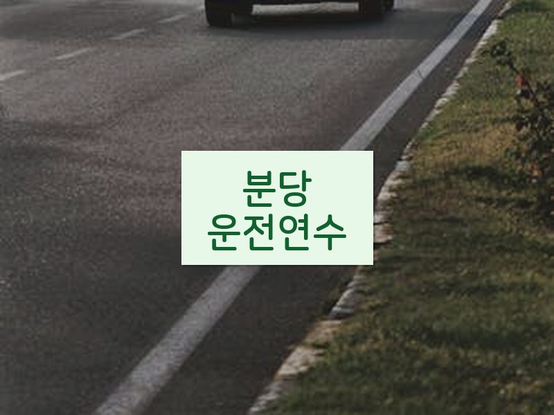 분당운전연수 후기