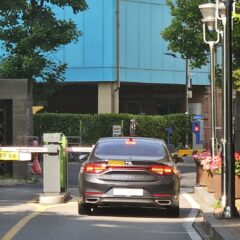 이른 아침 운전