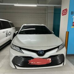 밤 운전 완전 무서웠어요