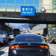 주말 나들이 완전 즐거워요