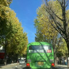 차선 변경 실습