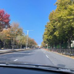 어린이집 방문 이제 편하게!